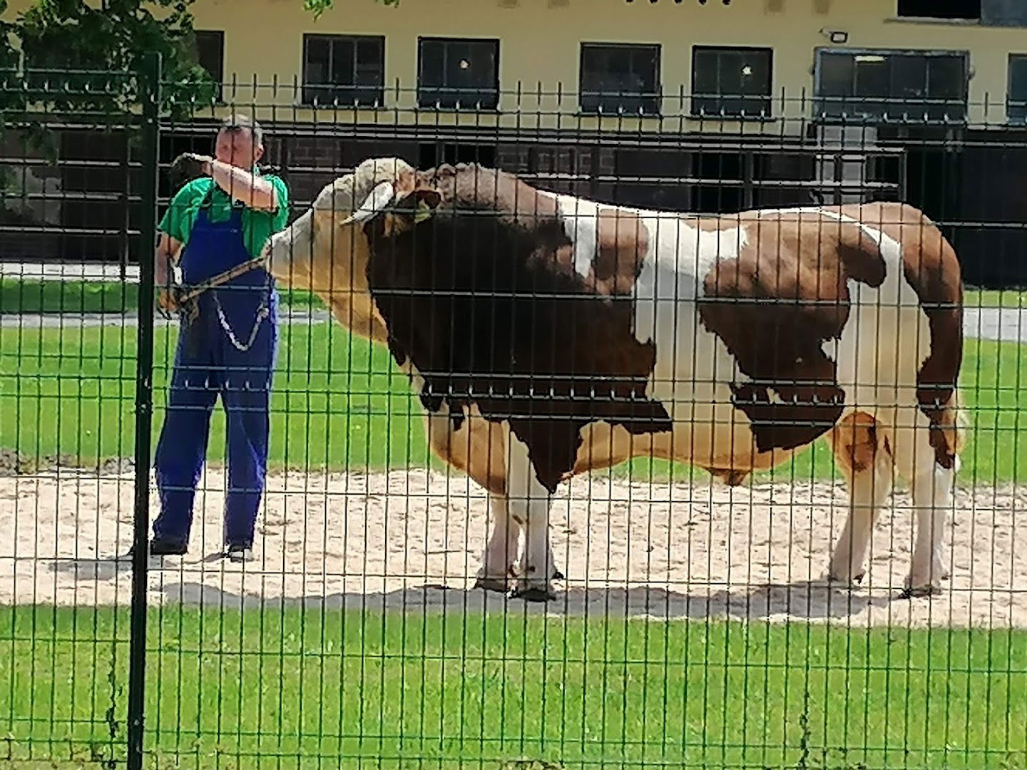 KGZS Zavod Ptuj