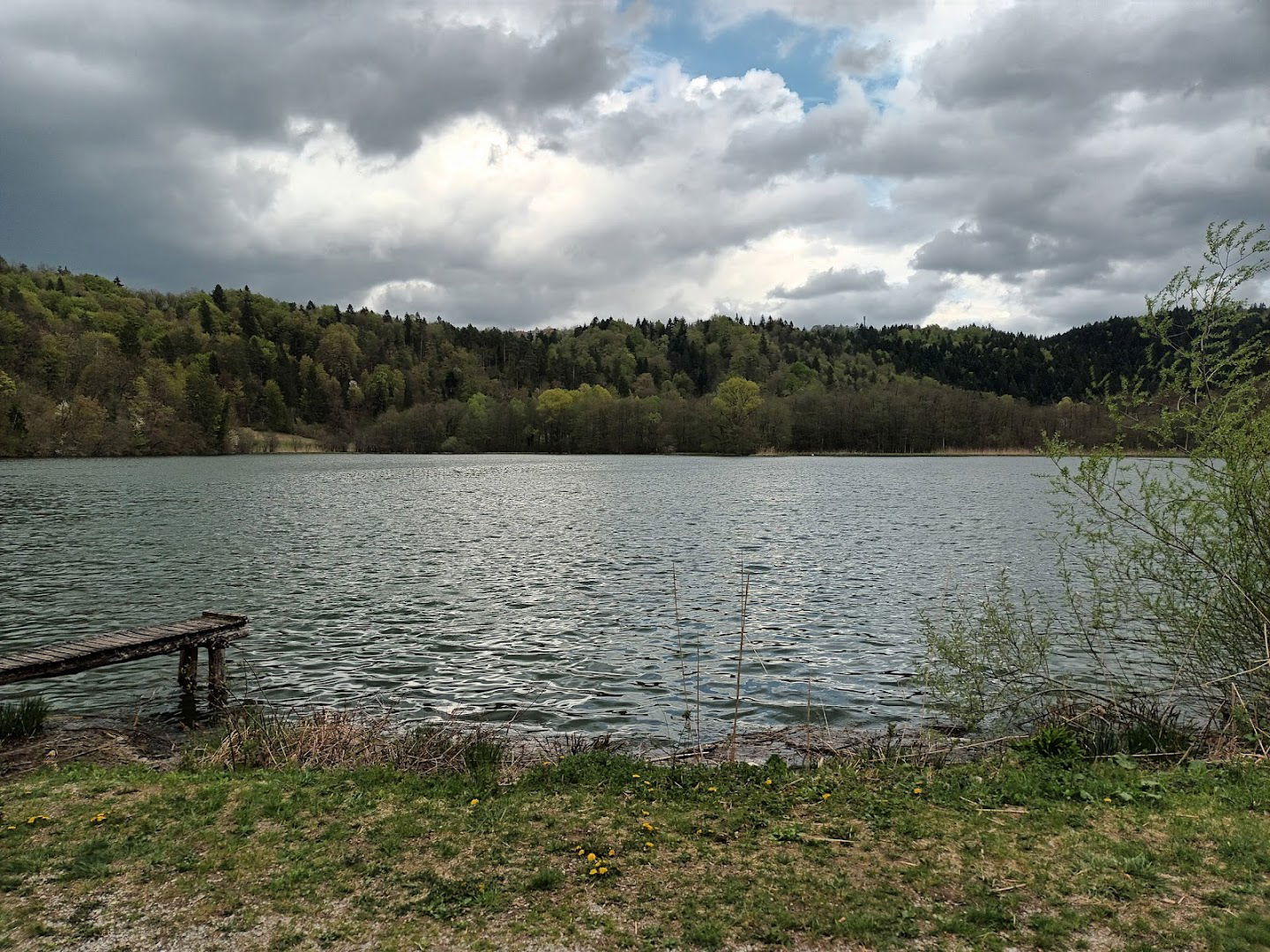 Gozdna učna pot Draga