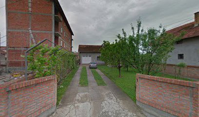 Diesel service "Mist"