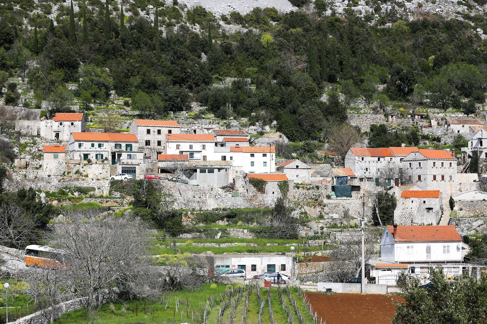 Church of St. Simeon and St. George