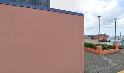 Wolt dostava McDonald's