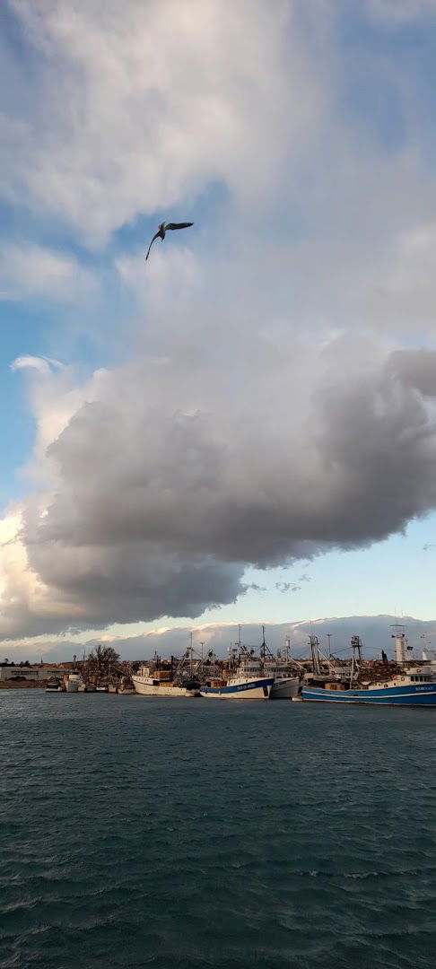 Luka za ribare Gazenica