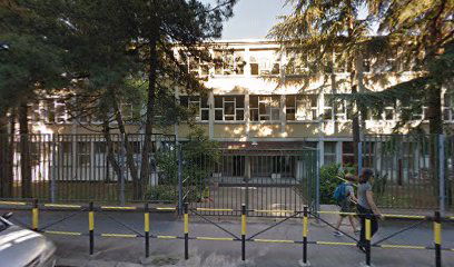 Školica sporta Golden kids