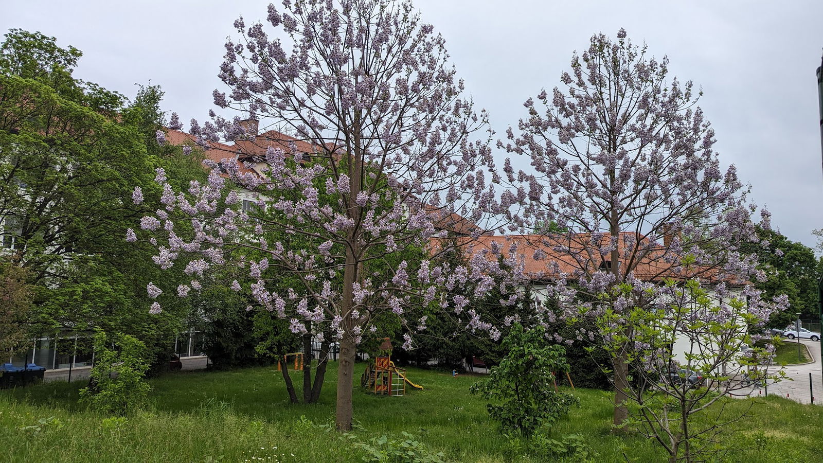 Športno društvo Sokol Bežigrad