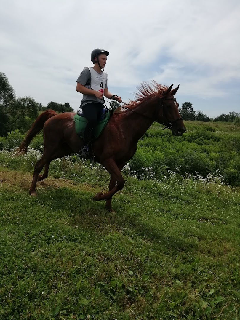 Konjički klub Husar