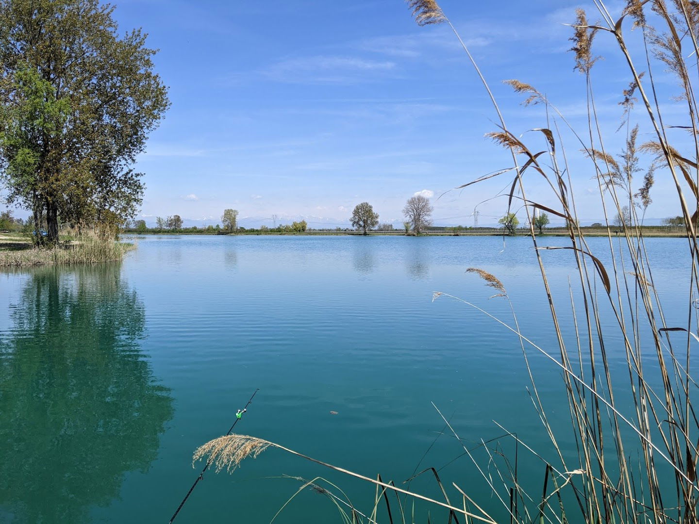 Società Agricola Zavattina