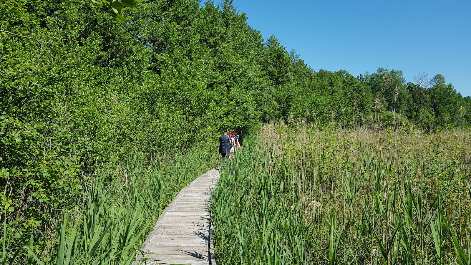 Krajinski park Lahinja