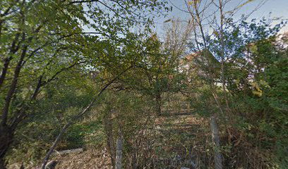 autoprevoznik Radovan Radinovic