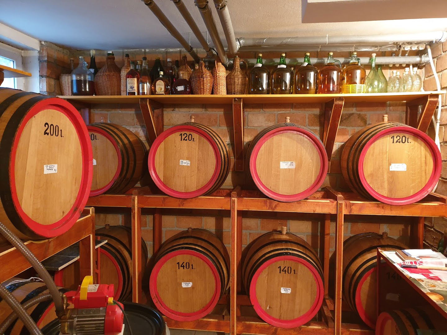 Ilija Rudić, Rakija Inspiracija