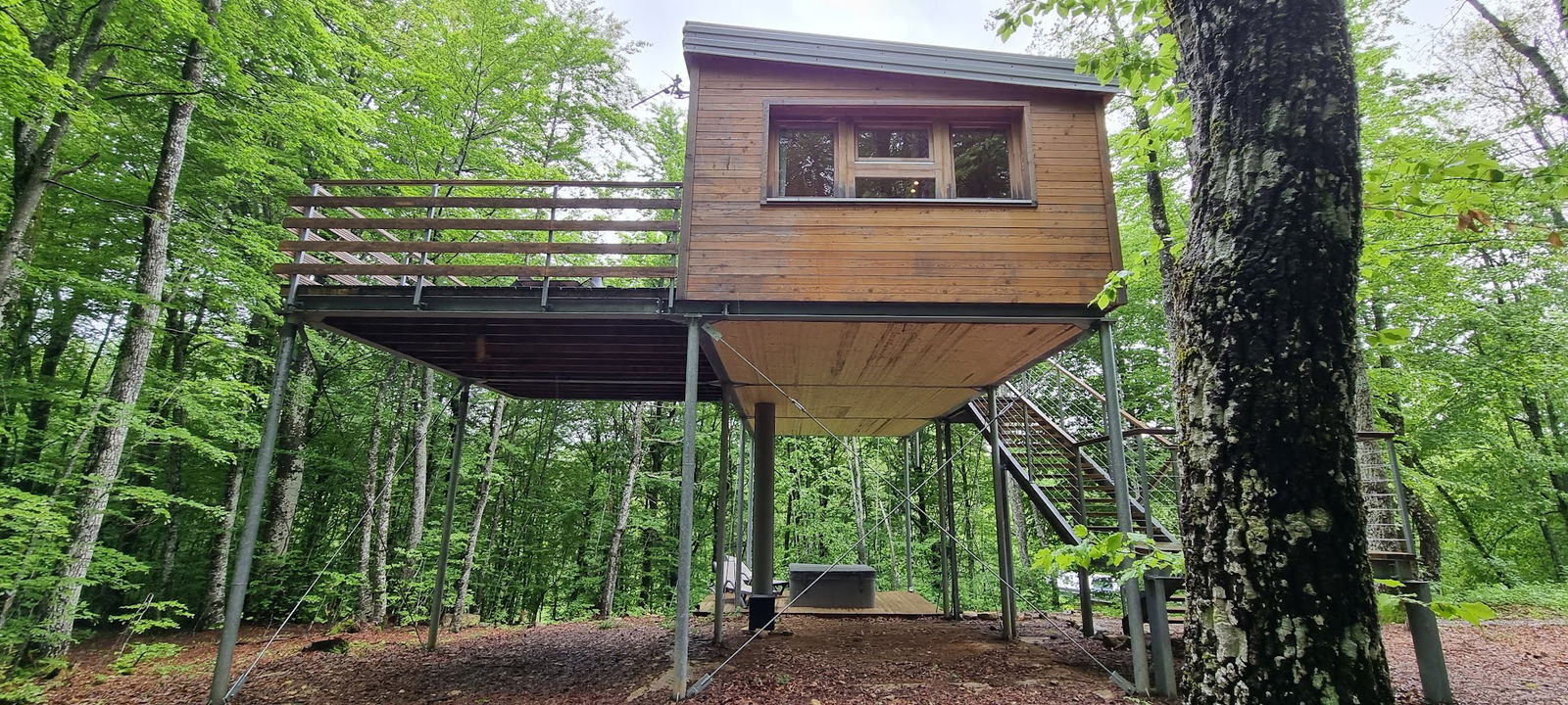 Treehouse Lika 1