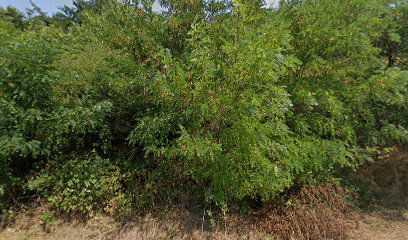Parc eolian Sf. Elena, Caraș-Severin