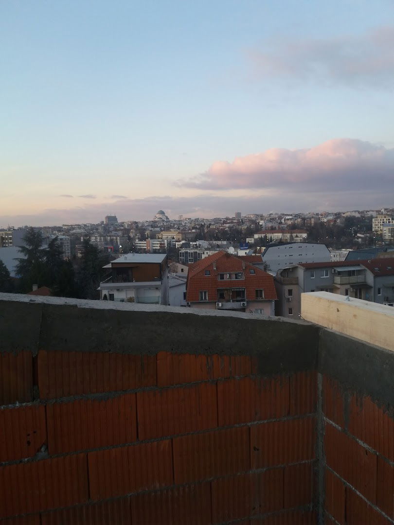 Ljubićka (Univerzitet Singidunum)