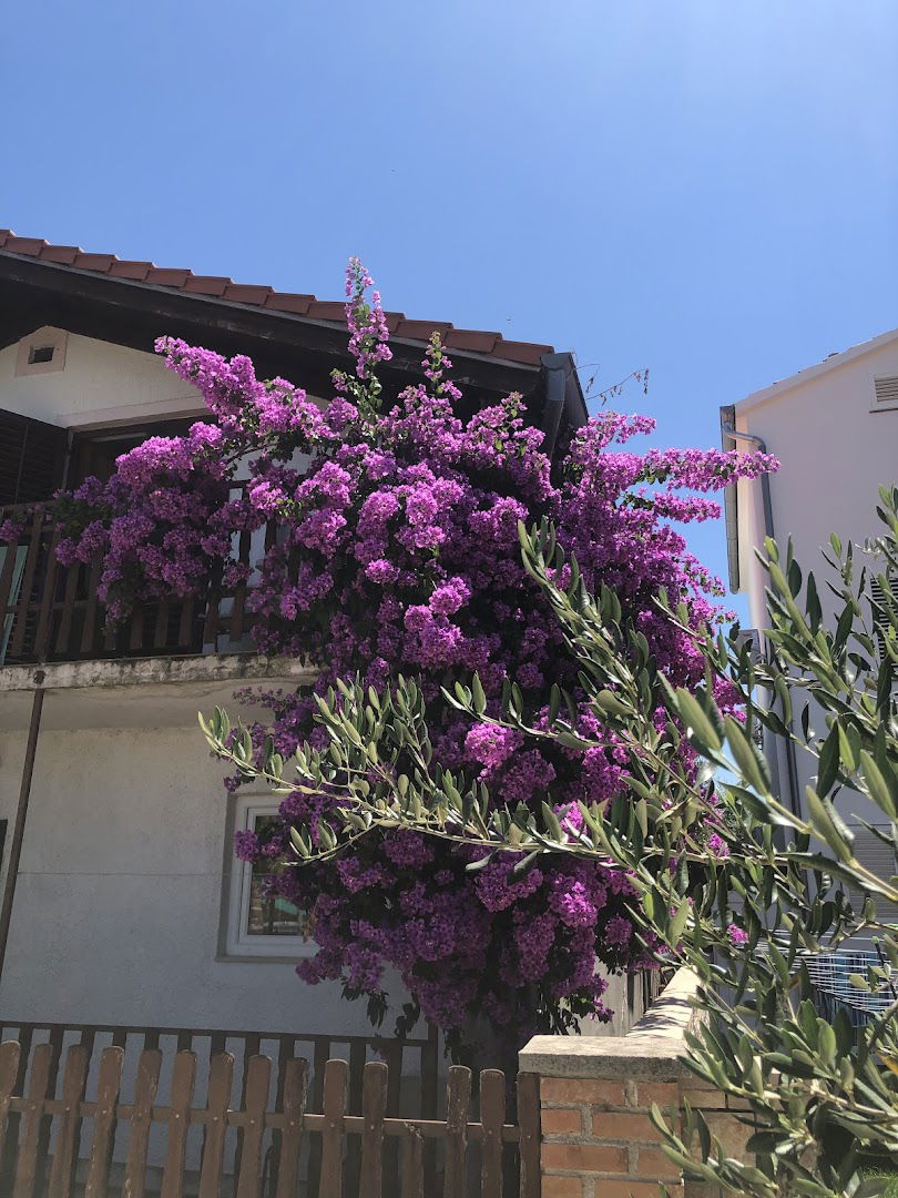 Apartmani Eleonora & Nikola