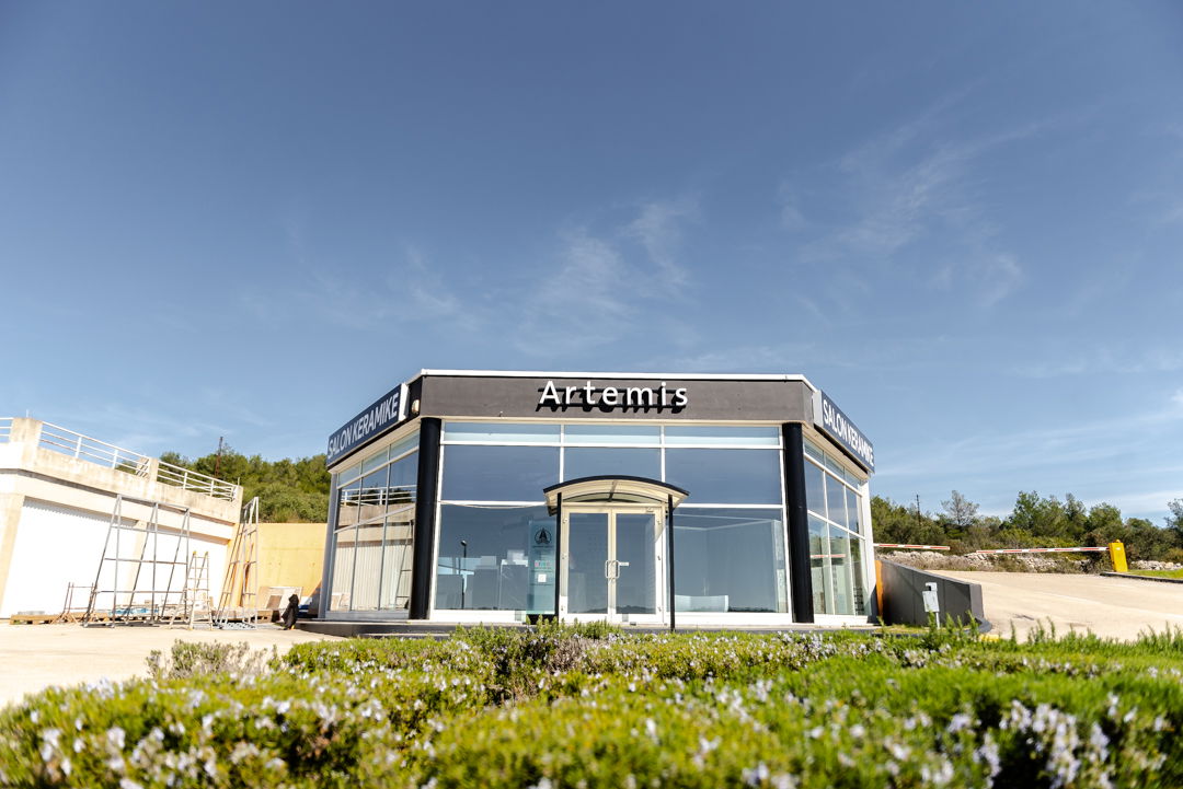 Artemis Group