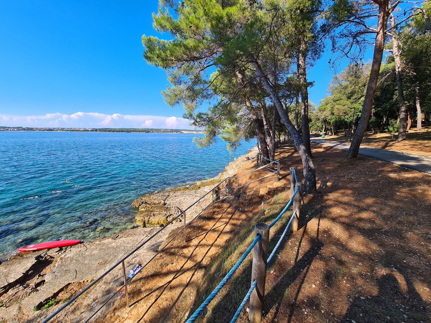 Calendula Point Of View