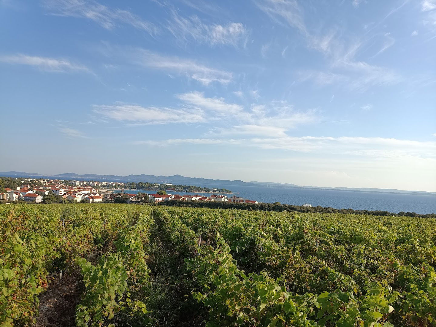 Kraljevski Vinogradi Farm Worker Place