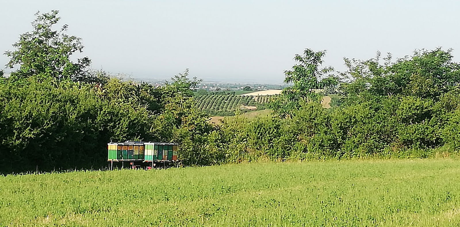 Pcelarsko gazdinstvo Zivkovic