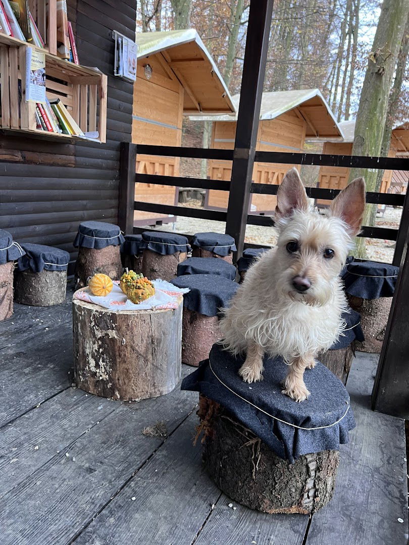 Vending Machines Market