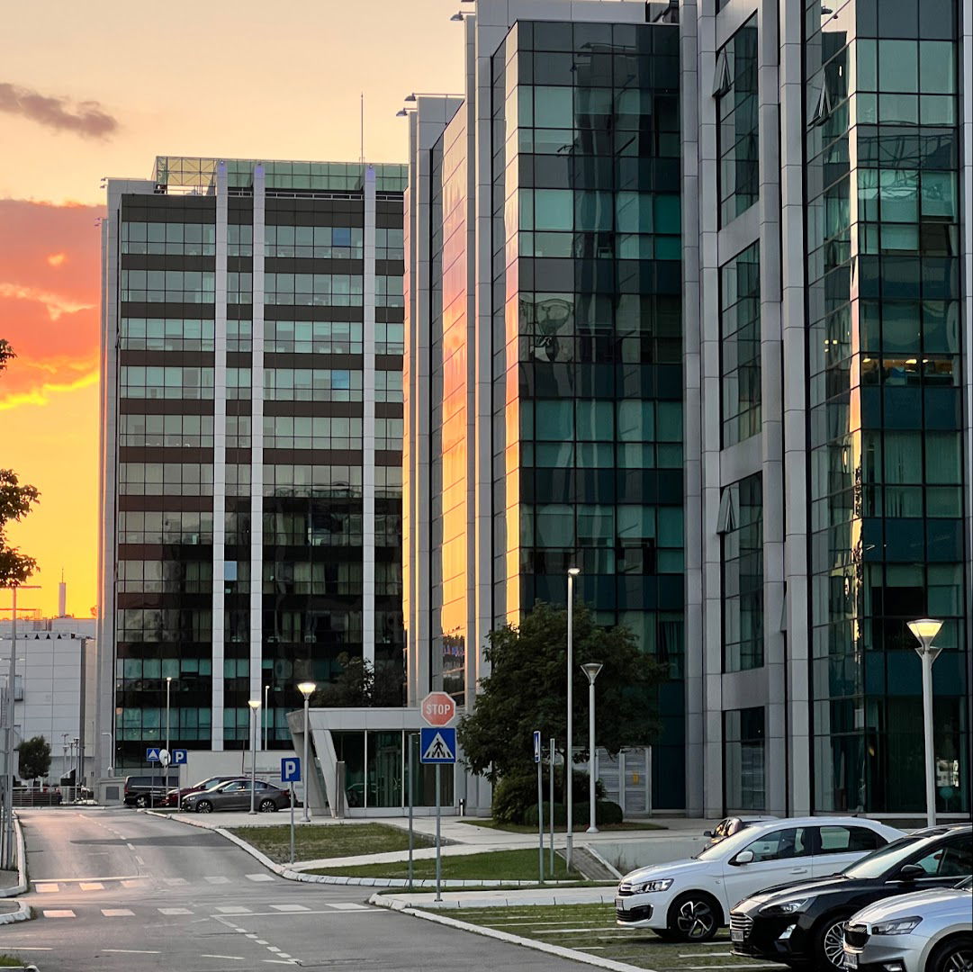 Azvirt Ogranak Beograd