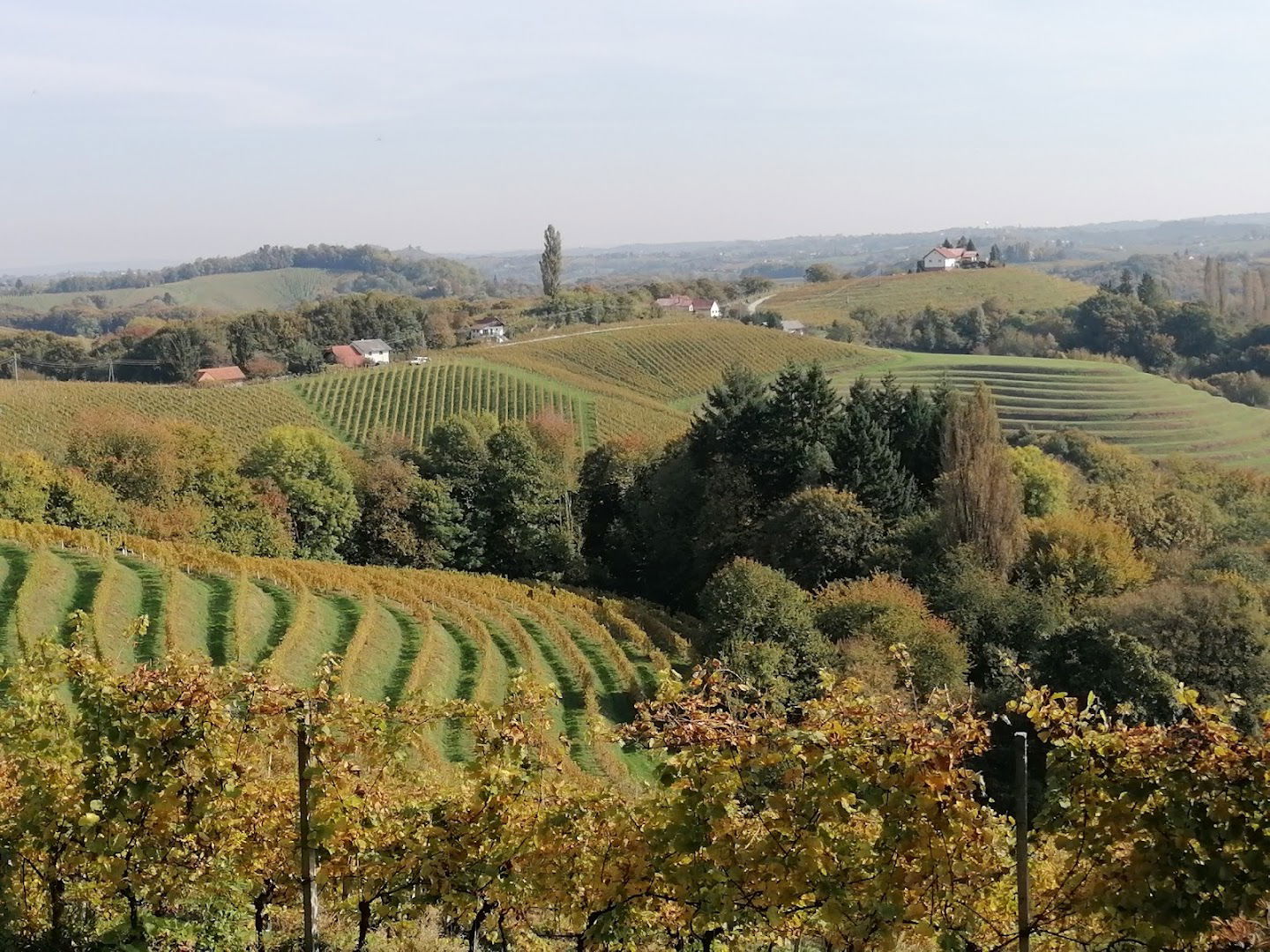 JERUZALEM RESORT, NAMESTITVE JERUZALEM