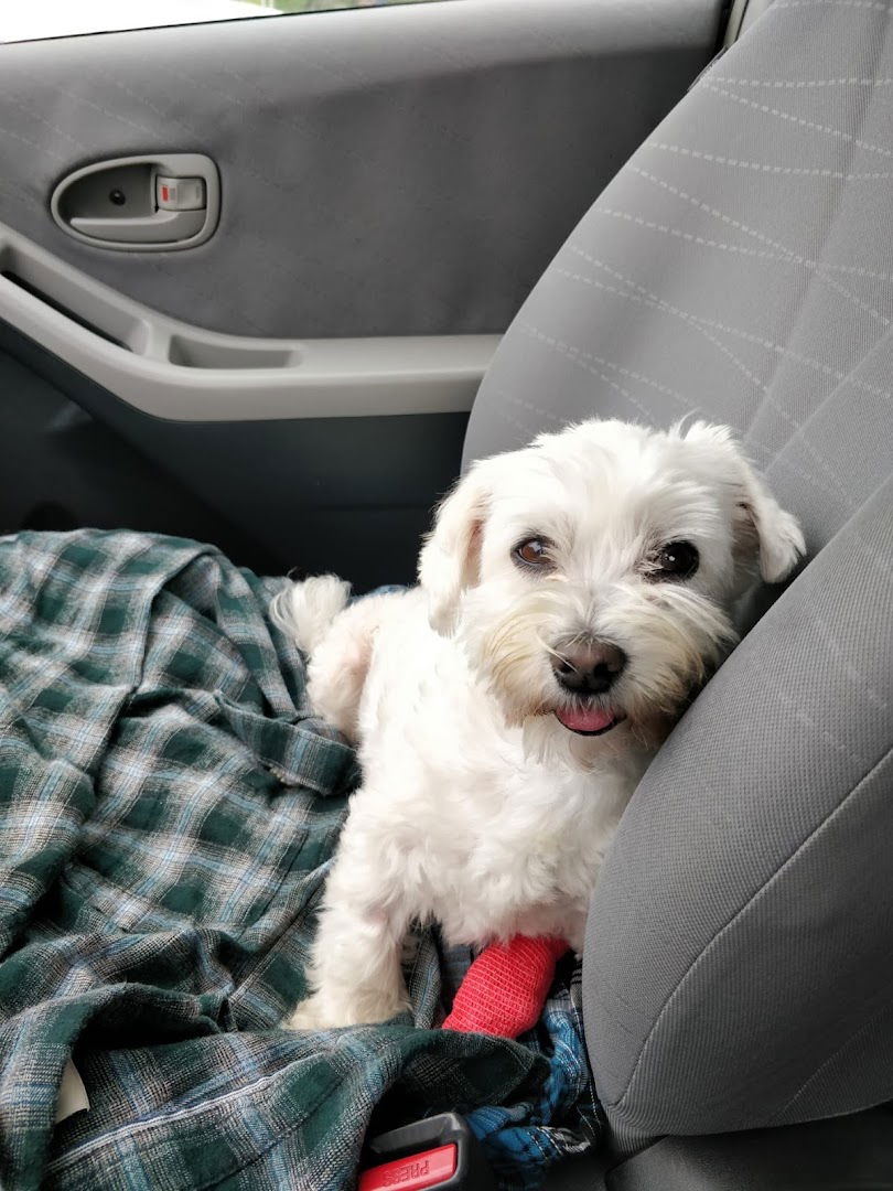 Best Friends Veterinary Clinic Veterinarska Praksa