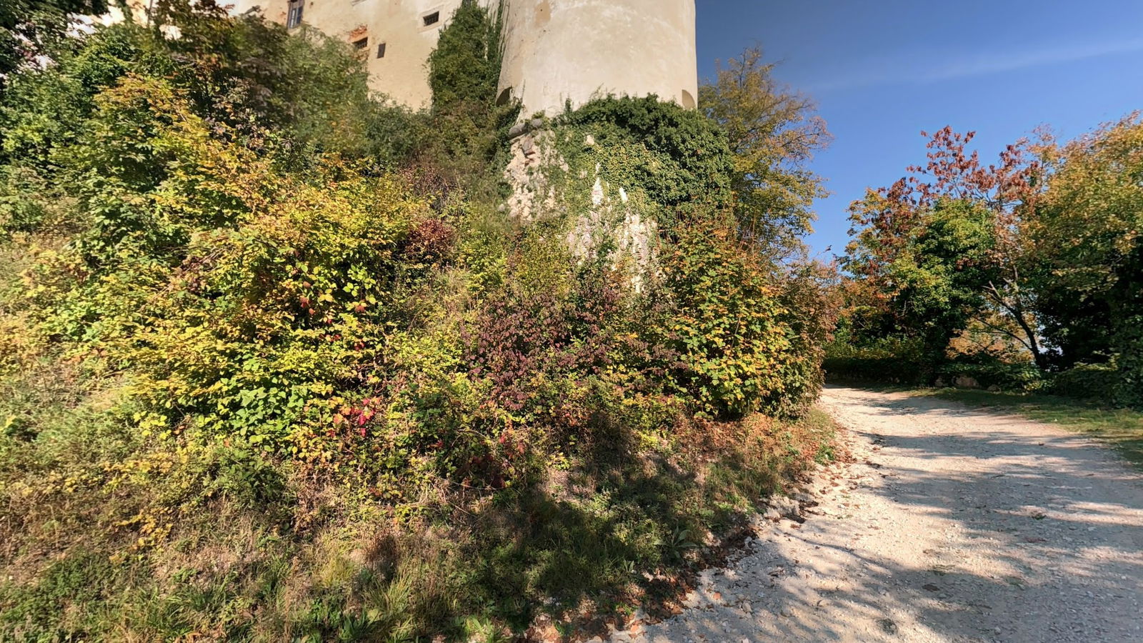 Bizeljsko Castle, Wisell Winery