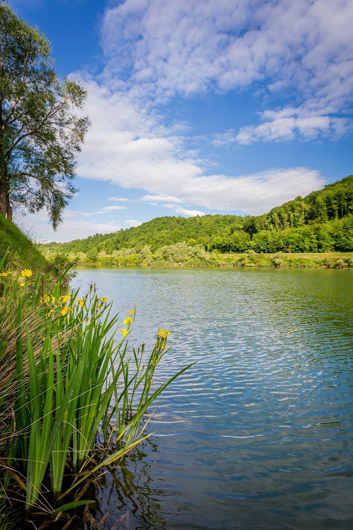 Fresh water fishing Cerovlje bare