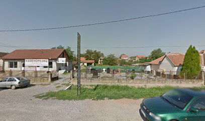 Milina Export Import