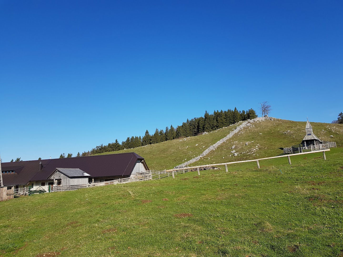 Pašna skupnost Biba Planina