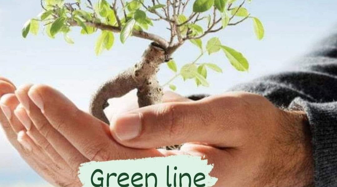 Greenline – servis za profesionalno čišćenje Zadar