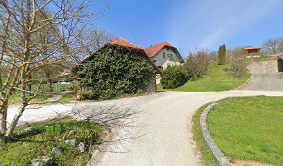 Vineyard cottage Majzelj