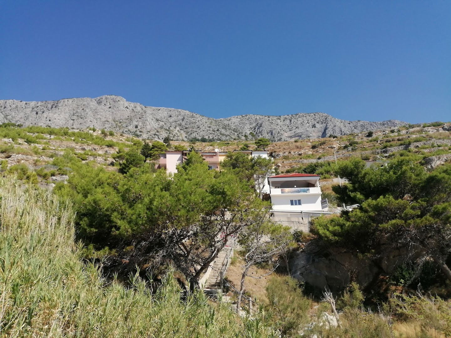 Adriatic Blue Apartments