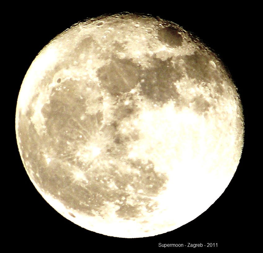 Moonshine Guerilla Distillery