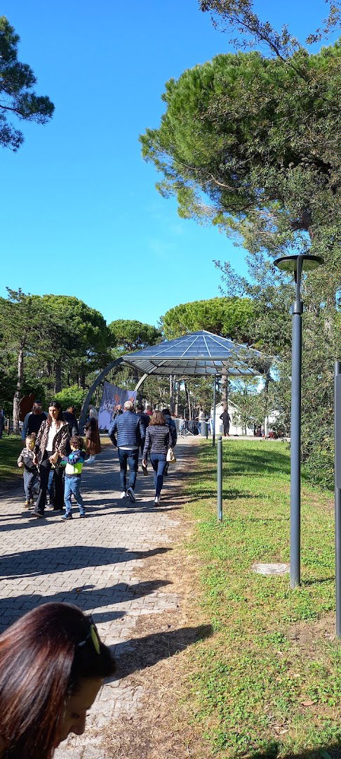 Comitato Organizzatore Di Lignano In Fiore