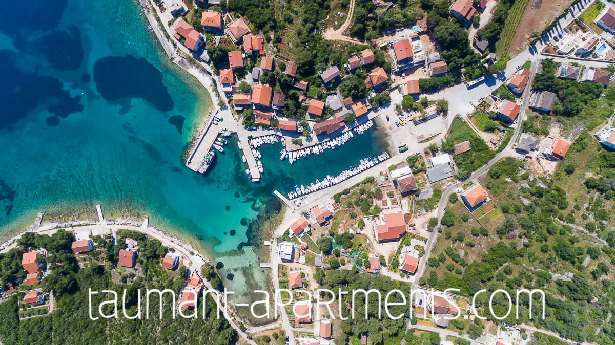 Taumant | Apartments Zman, Dugi Otok | Apartments Zman