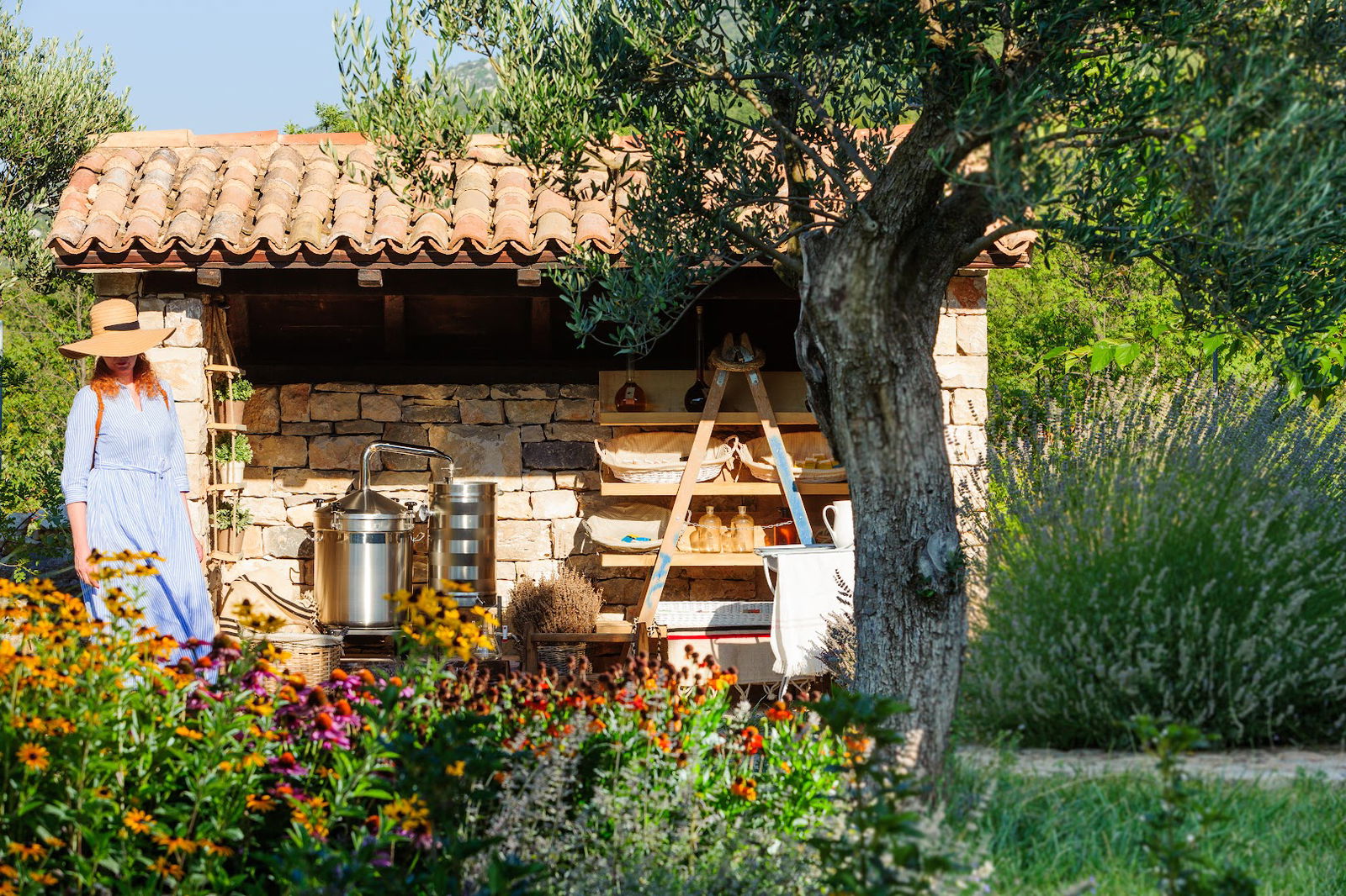 Stella Croatica = Olive Museum & Traditional food & Mediterranean garden