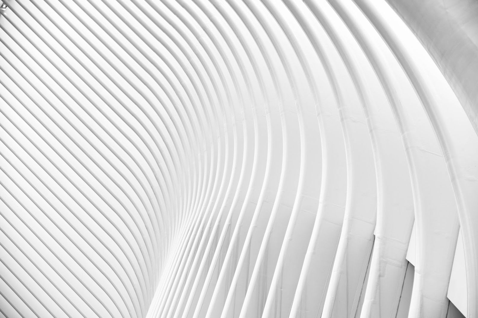 Advokatska kancelarija Momčilović Stanković/ Law Office Momčilović Stanković/ Rechtsanwaltskanzlei Momčilović Stanković