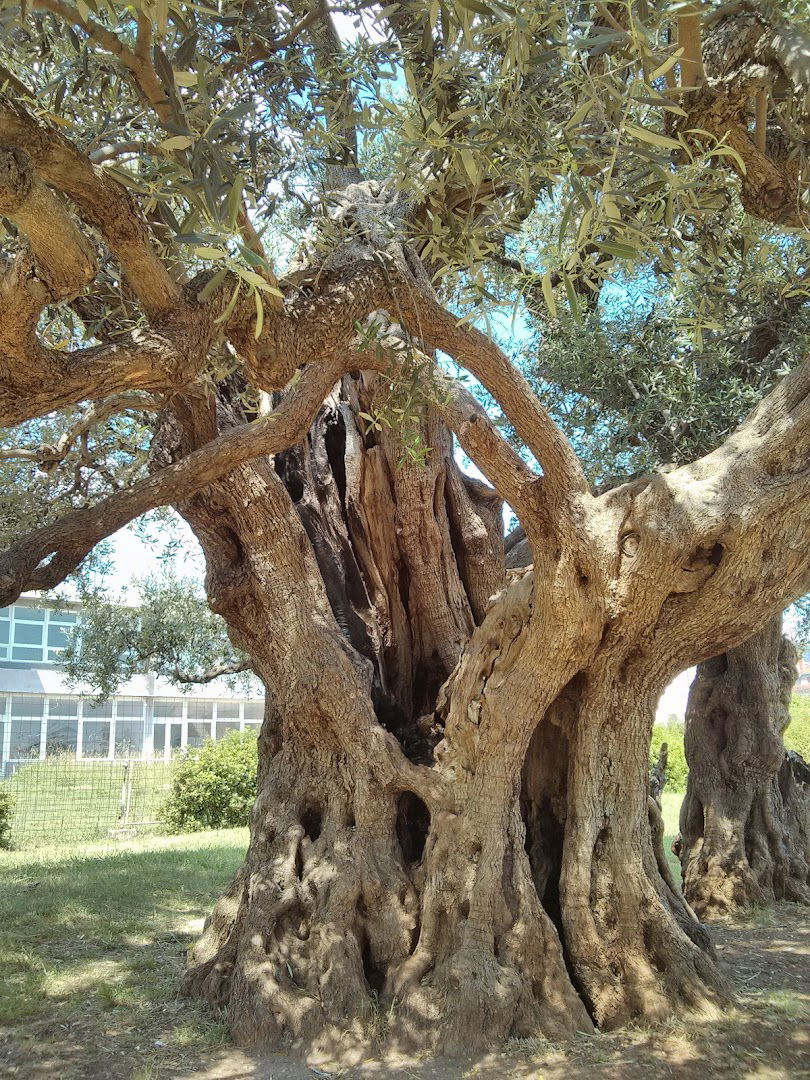 HP - Hrvatska pošta