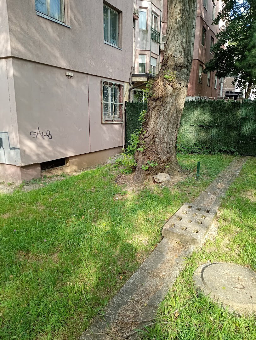 Ismeta Mujezinovića 7