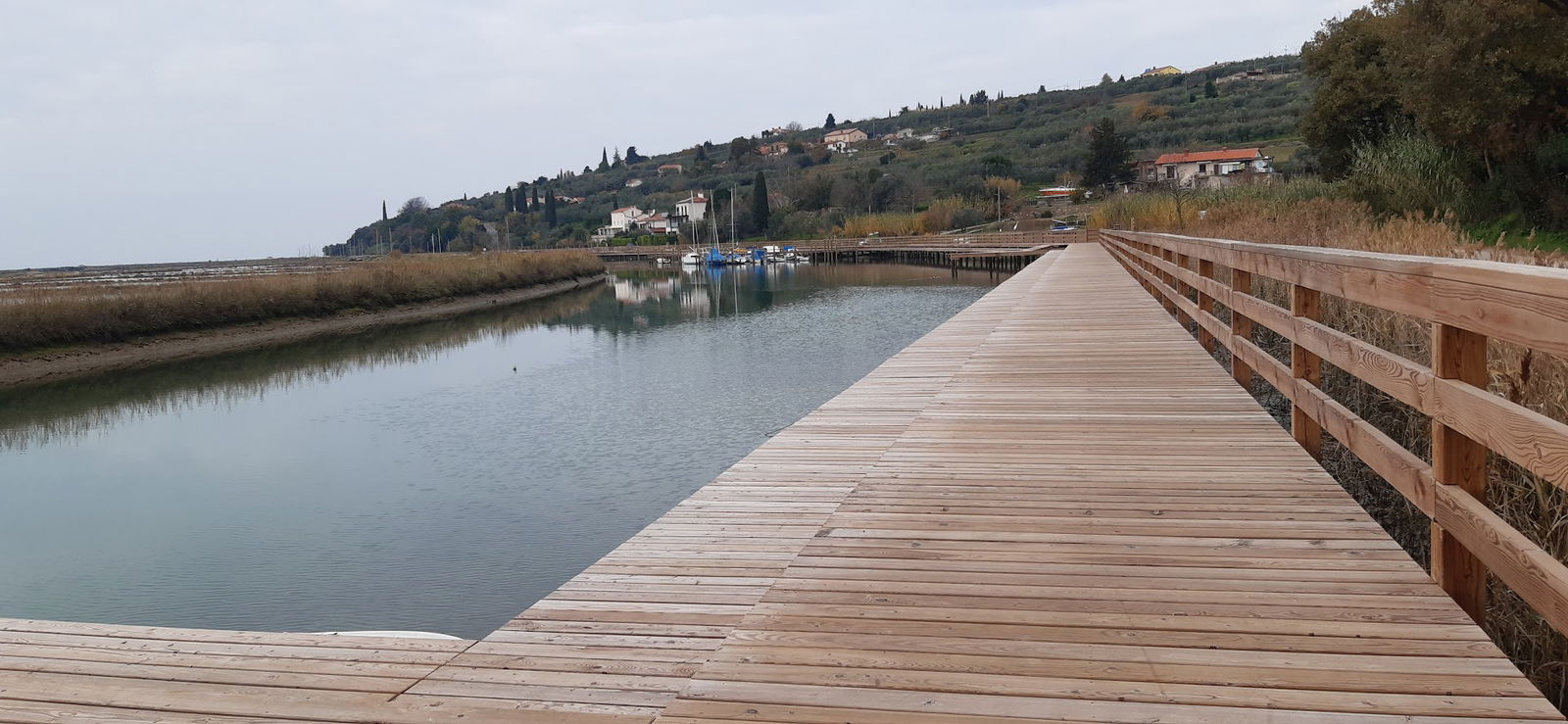 Wooden bridge Jernej