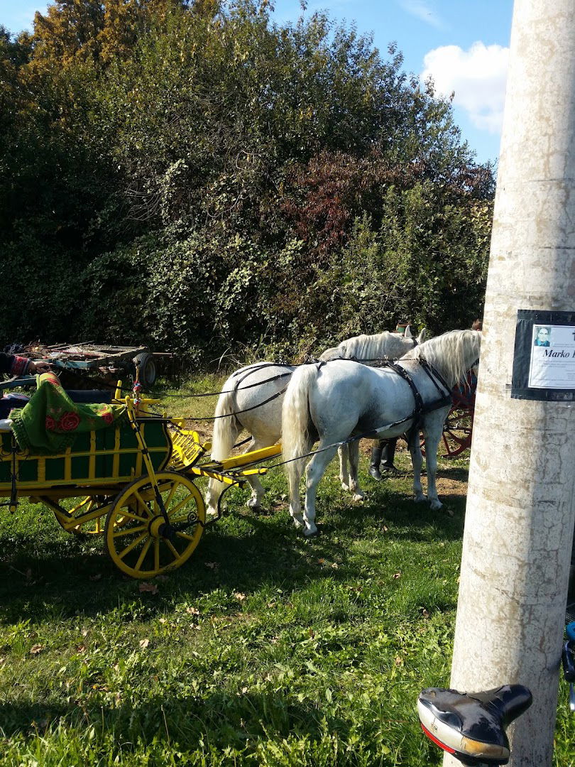 Trgovački obrt Žitoplod