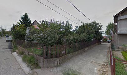 Marija Milošević - Sudski tumač/prevodilac za engleski jezik