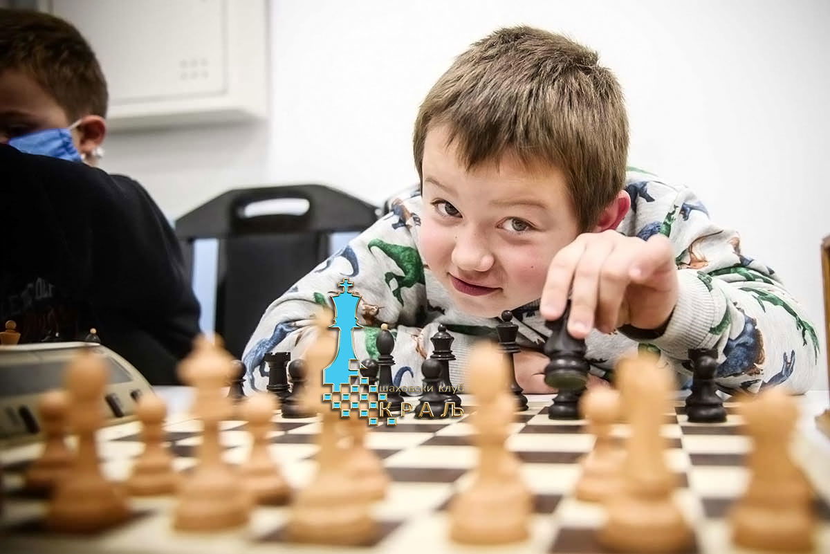 Chess Club King - New Belgrade