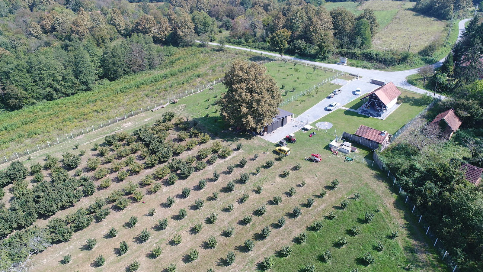 OPG Reljić , Nasad 1