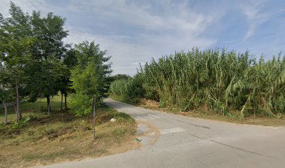 Ville Adria Privlaka