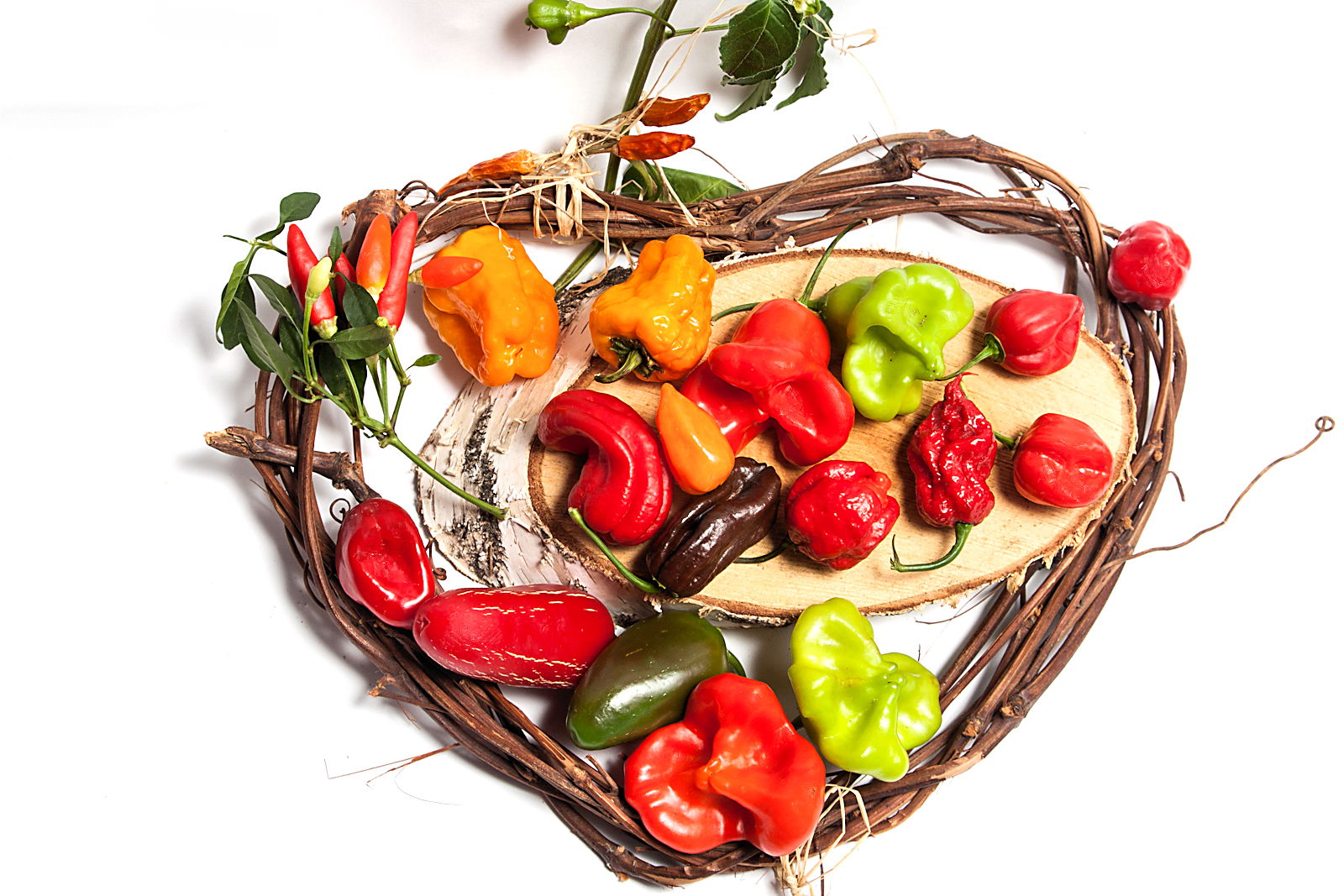 Kristoš - OPG Preložnjak