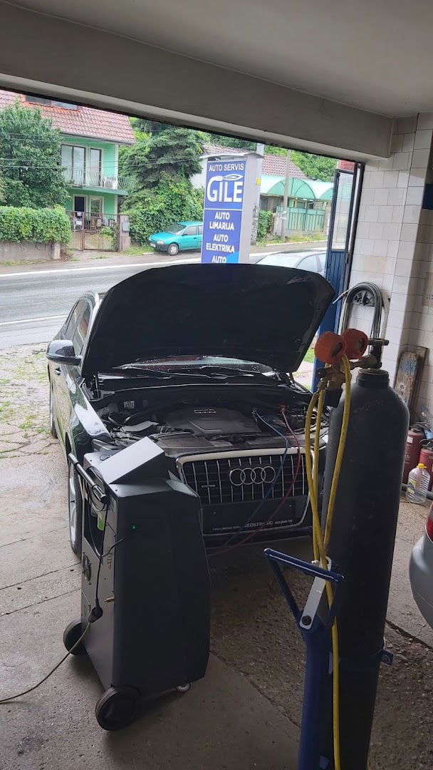 Auto servis GILE