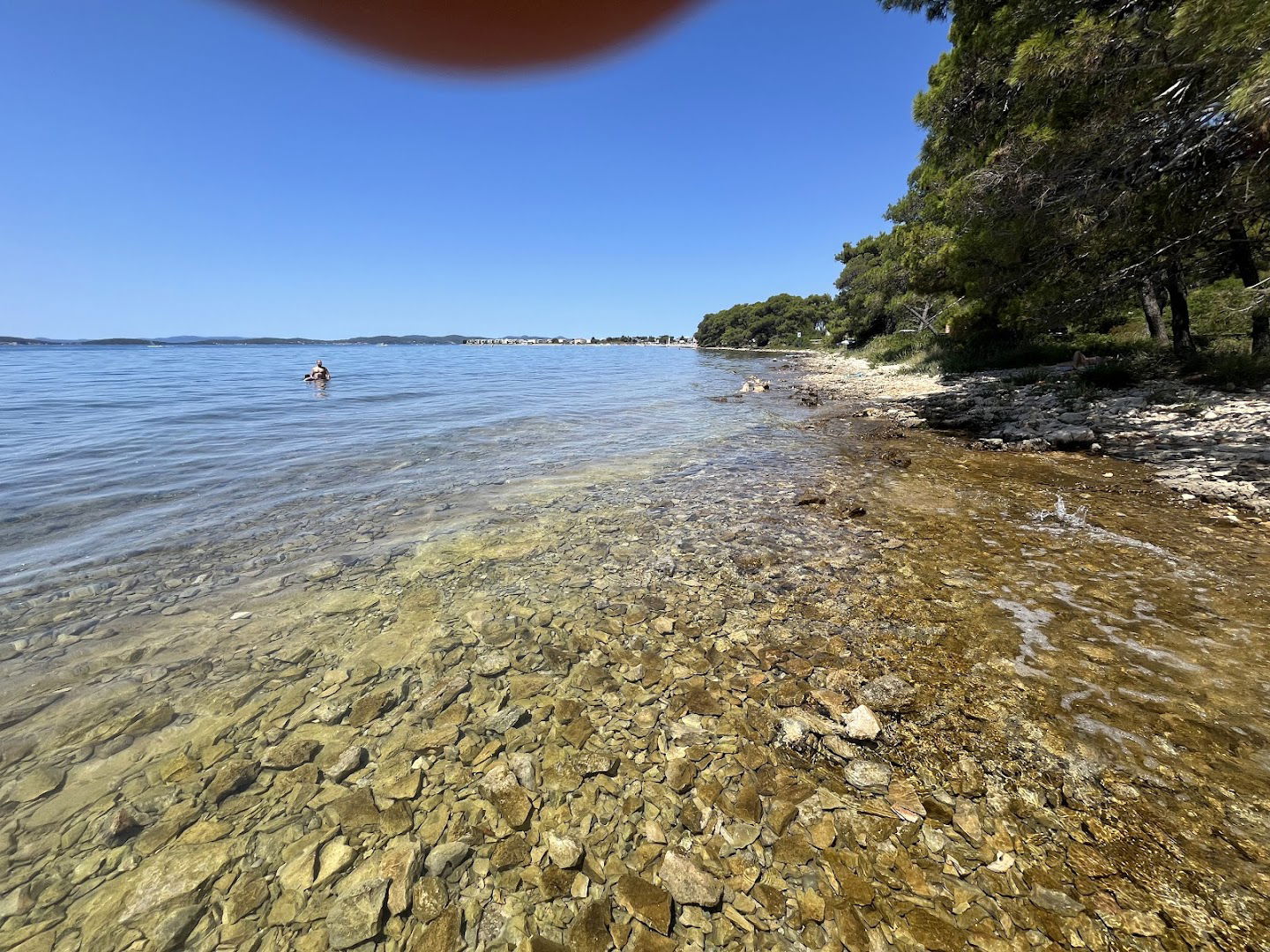 Beach with pine shade