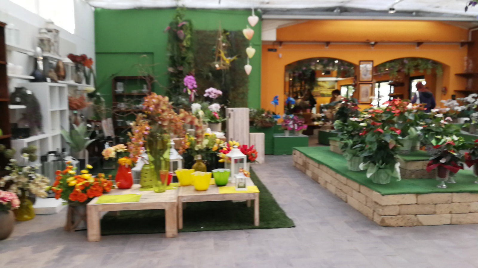 Florist and Greenhouses Bearzot Lorenzo