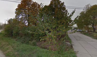 Шумска управа "Рит"